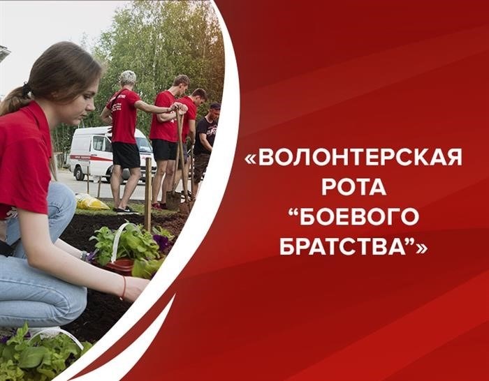 Филиалы и представительства