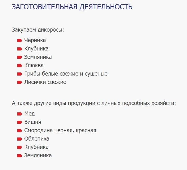 Продажа домов в деревне: какие площадки для объявлений использовать