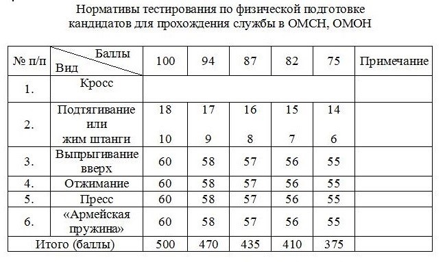 Плюсы и минусы работы омоновцев в России