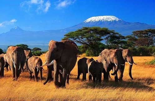 Нужна ли виза для поездки в Кению